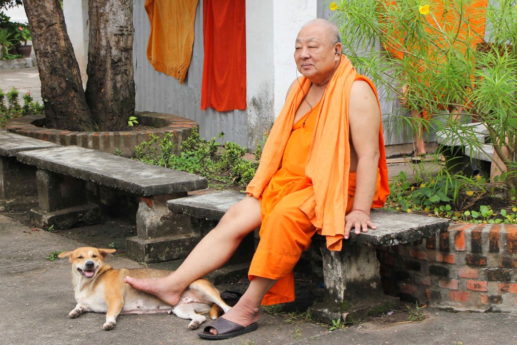 301 Munk in Laos, rubbing dog with his foot.